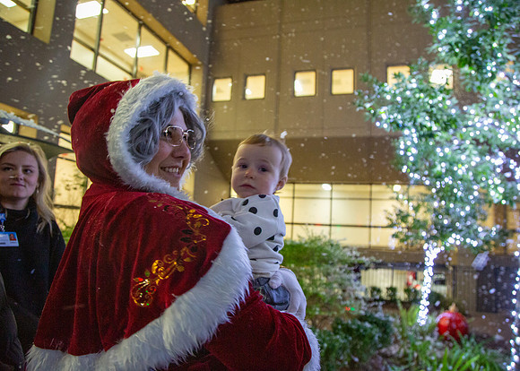 MI_Tree Lighting-51
