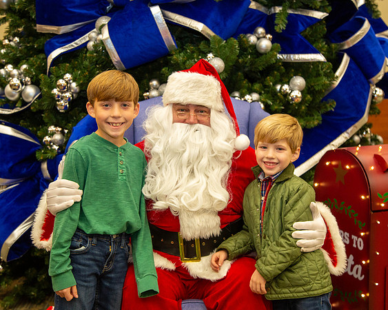MI Christmas Tree Lighting_2024-6
