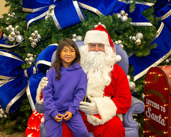 MI Christmas Tree Lighting_2024-14