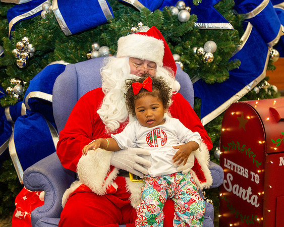 MI Christmas Tree Lighting_2024-28