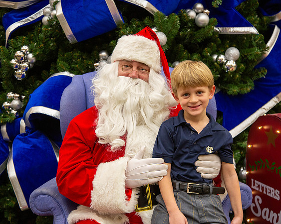 MI Christmas Tree Lighting_2024-7