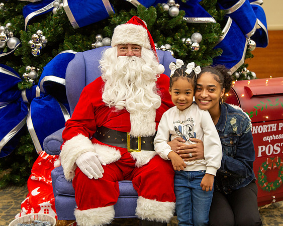 MI Christmas Tree Lighting_2024-18