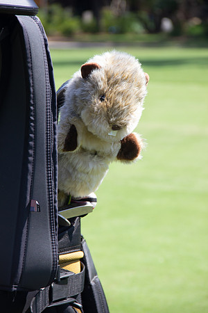 TH_Golf-5070