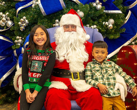 MI Christmas Tree Lighting_2024-39