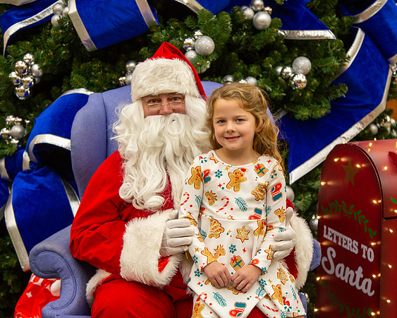 MI Christmas Tree Lighting_2024-36