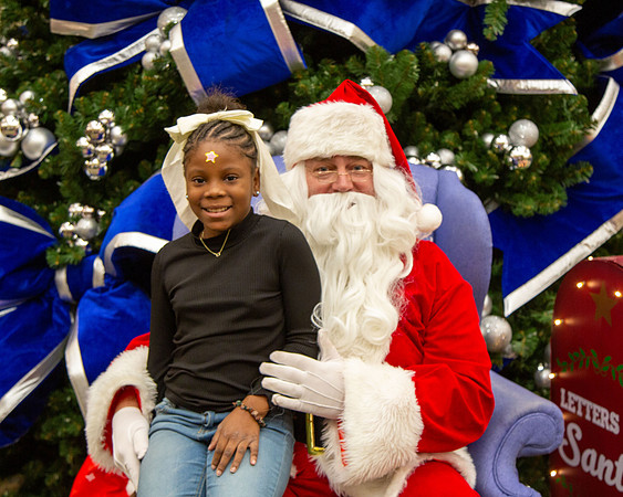MI Christmas Tree Lighting_2024-12