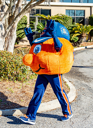 Infirmary Senior Bowl 52