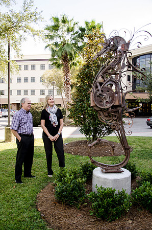 Seahorse_1
