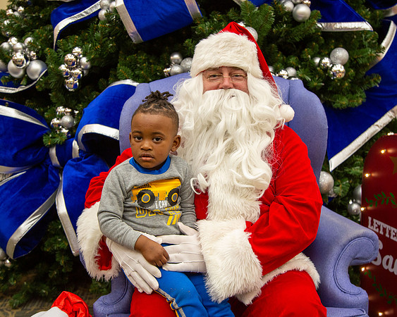 MI Christmas Tree Lighting_2024-1