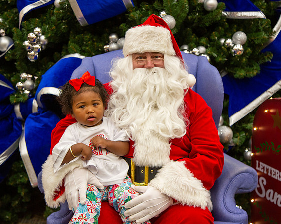 MI Christmas Tree Lighting_2024-3