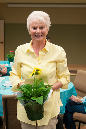 auxiliary_DSC0173