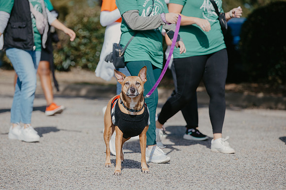 Angel Dash - Infirmary Health October 19, 2024 (16 of 73)