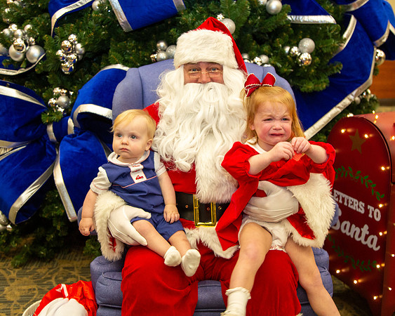 MI Christmas Tree Lighting_2024-2