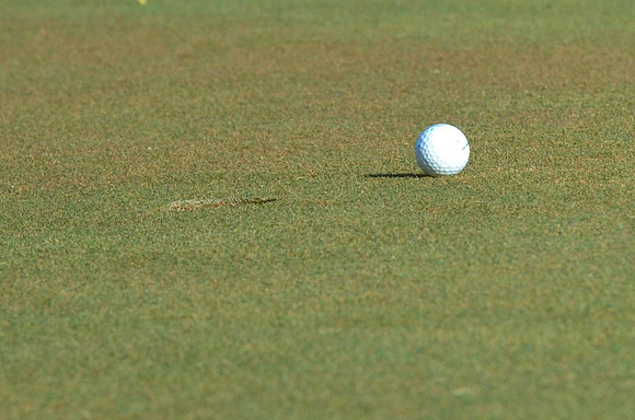 golf-3812