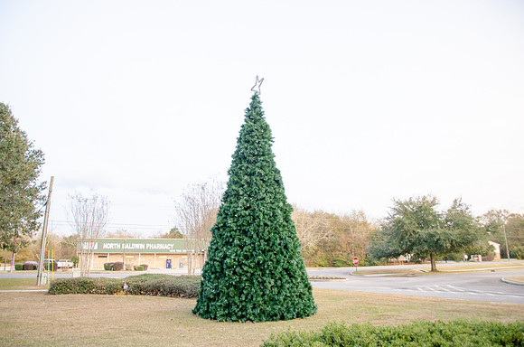 NBI_Christmas_2019_1
