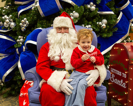 MI Christmas Tree Lighting_2024-37